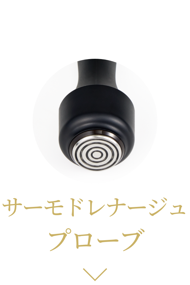 温める サーモソニックプローブ