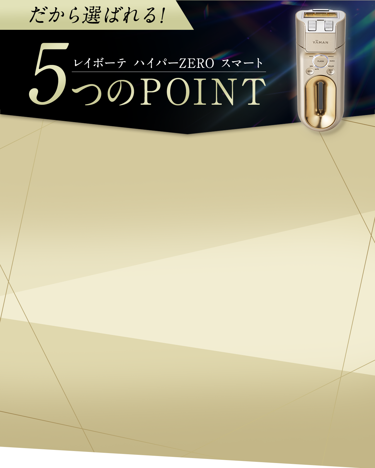5つのポイント