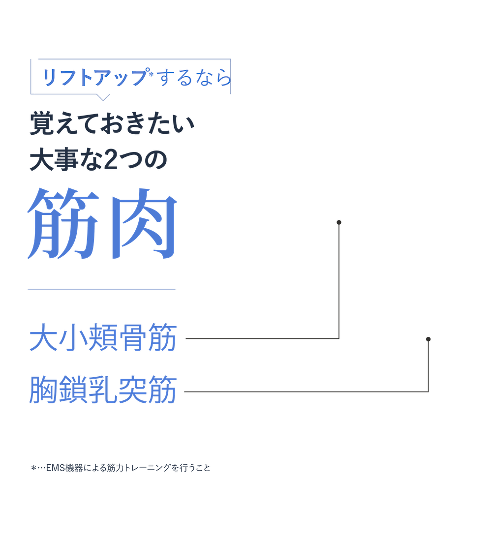 リフトアップするなら覚えておきたい大事な2つの筋肉